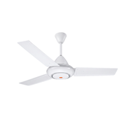Adnext Ceiling Fan