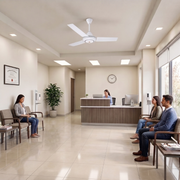 Adnext Ceiling Fan