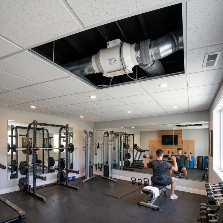 Adnext Exhaust Fan